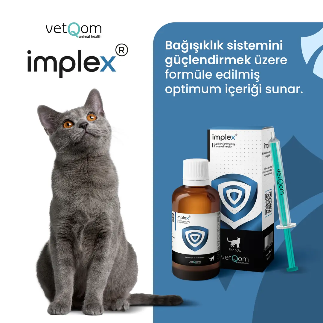 vetQom implex Kedi Bağışıklık Sistemi Desteği görsel 3