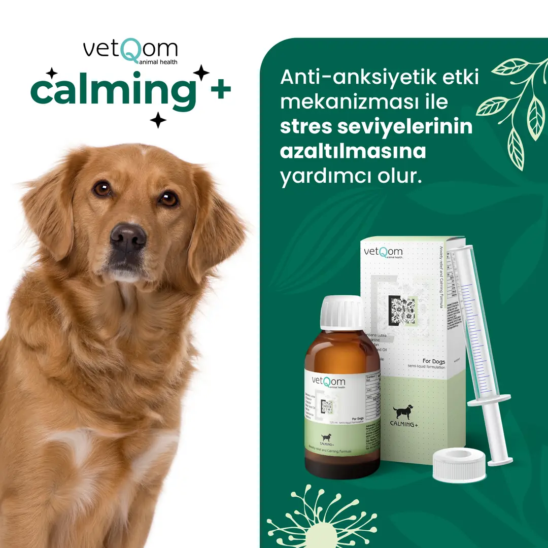 vetQom Köpek Calming  Stres Yönetimi görsel 2