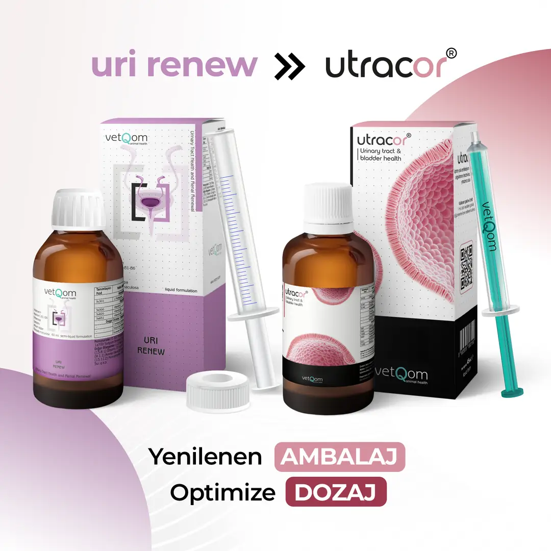 vetQom Utracor Kedi – Üriner Sistem Sağlığı görsel 2