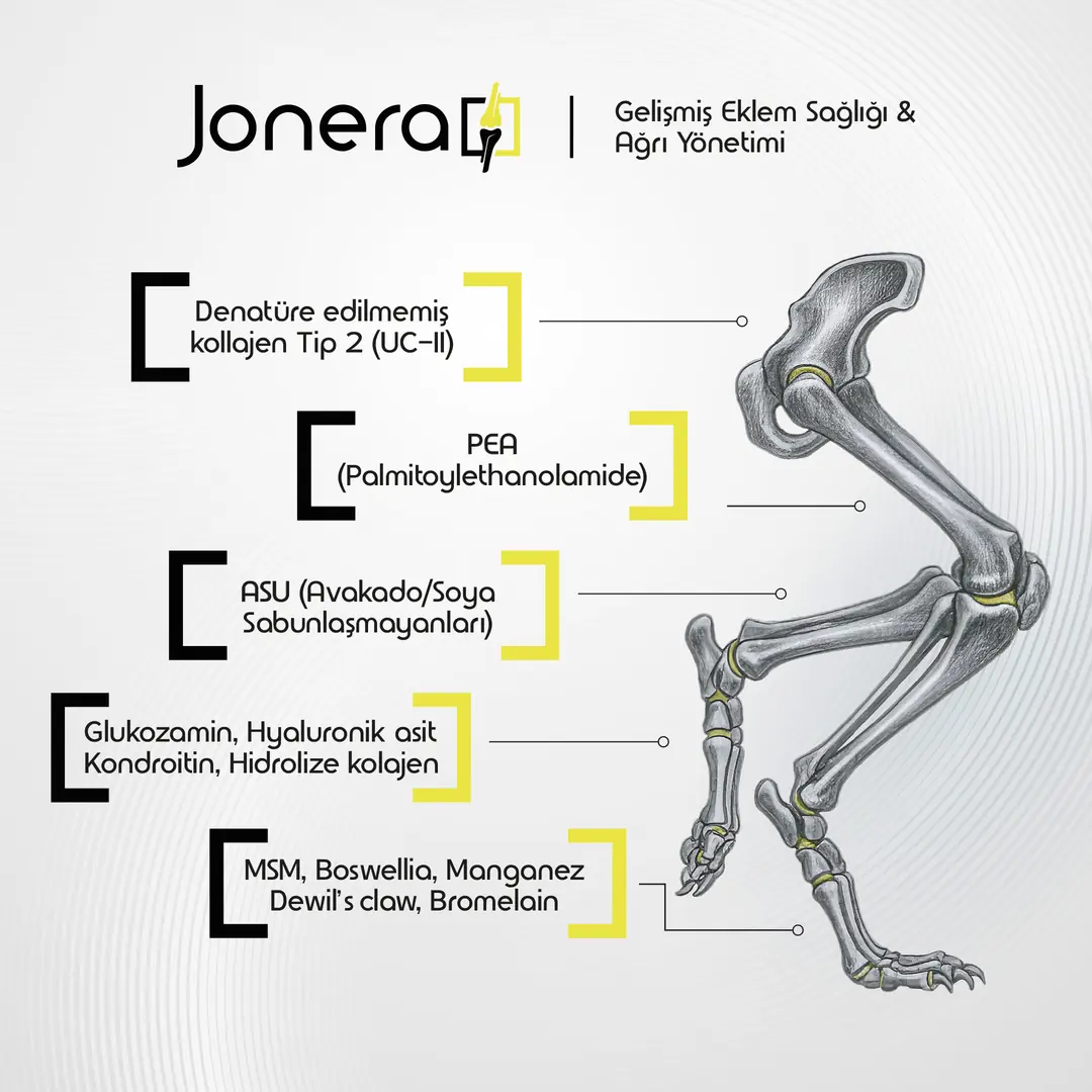 vetQom Jonera Köpek – Joint Care Eklem Sağlığı görsel 2