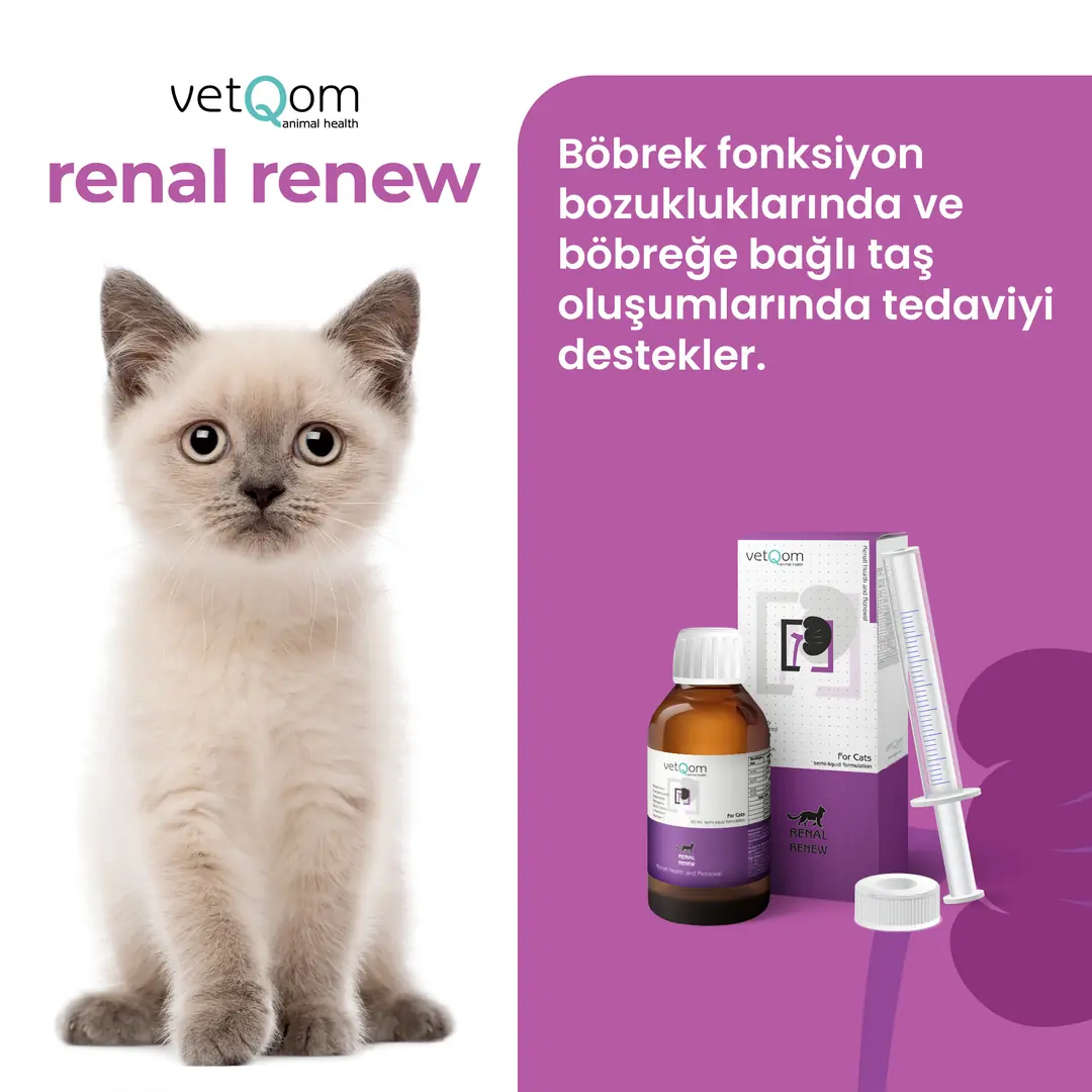 Kedi Renal Renew – Böbrek Sağlığı görsel 2