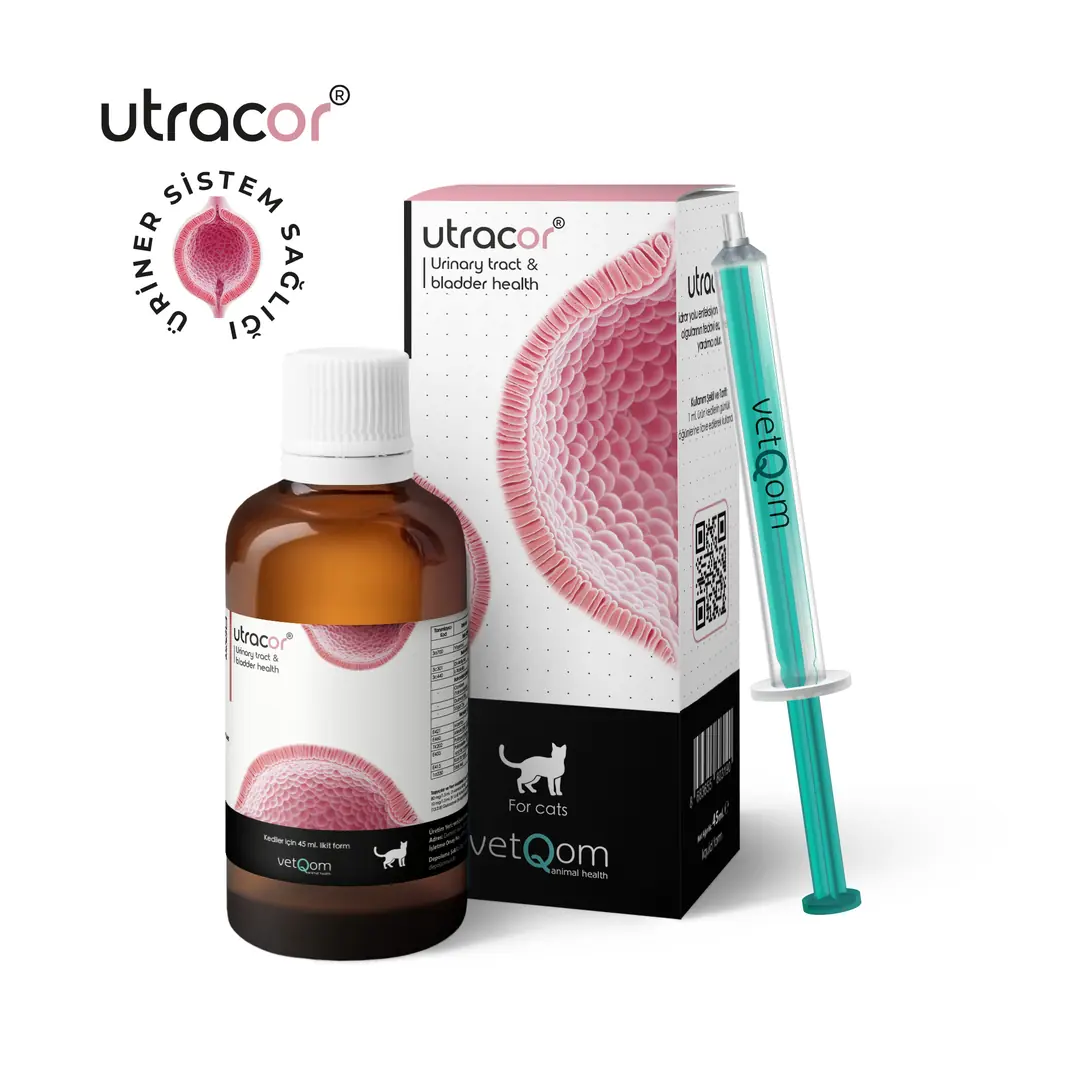 vetQom Utracor Kedi – Üriner Sistem Sağlığı