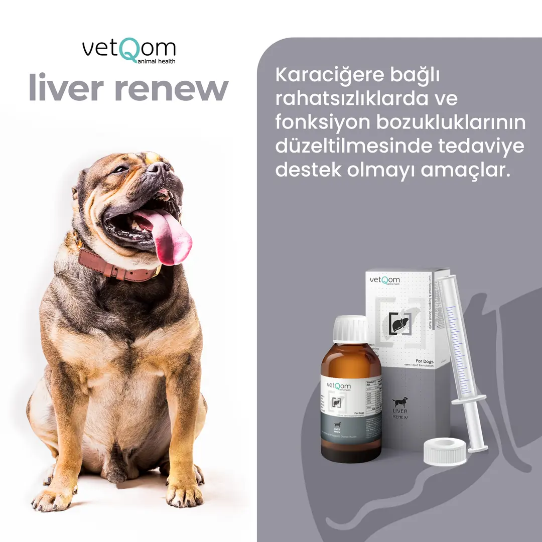 vetQom Köpek Liver Renew – Karaciğer Sağlığı görsel 2