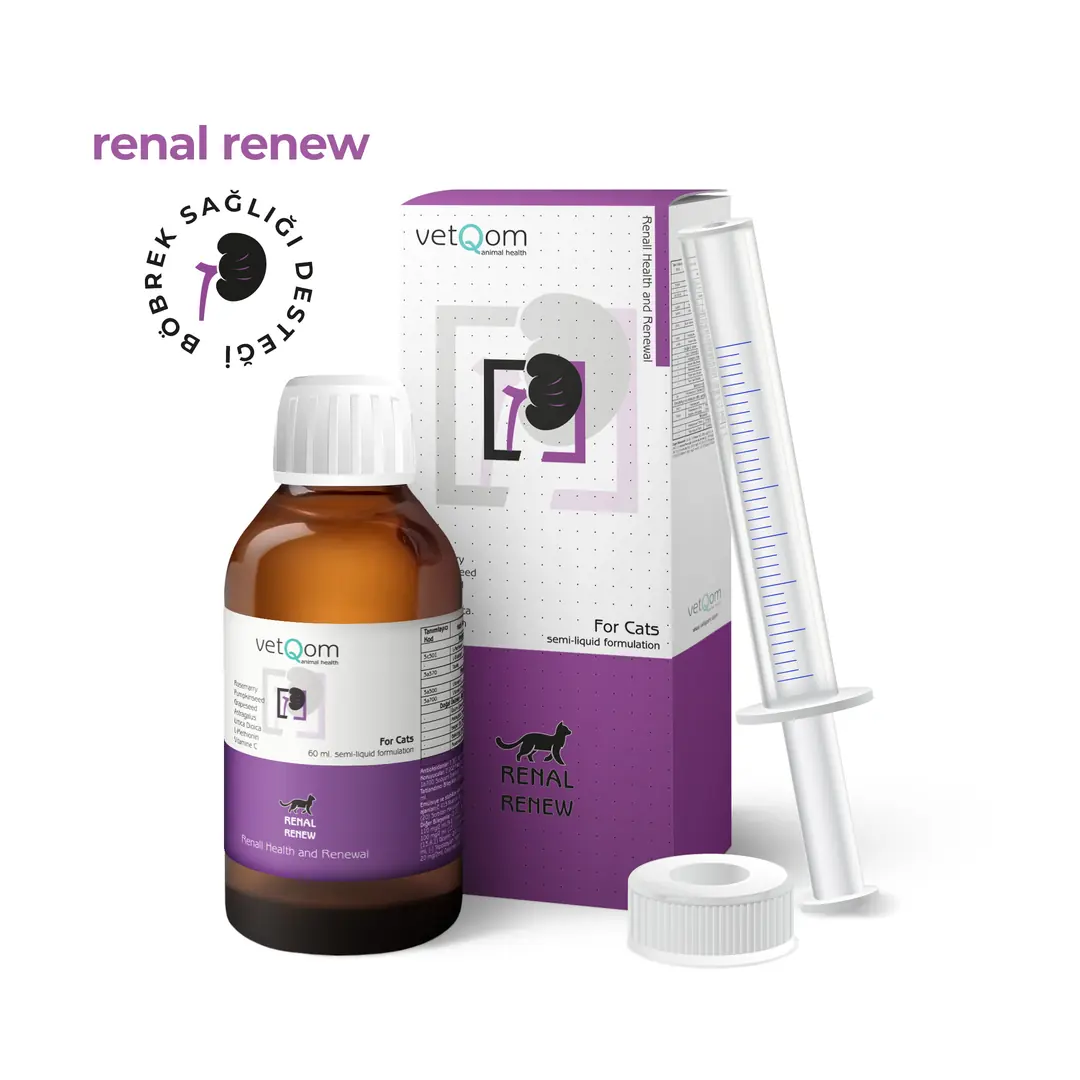 Kedi Renal Renew – Böbrek Sağlığı