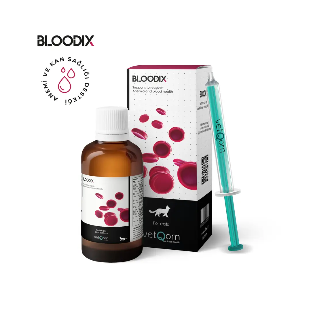 Bloodix Kedi – Anemi ve Kan Sağlığı