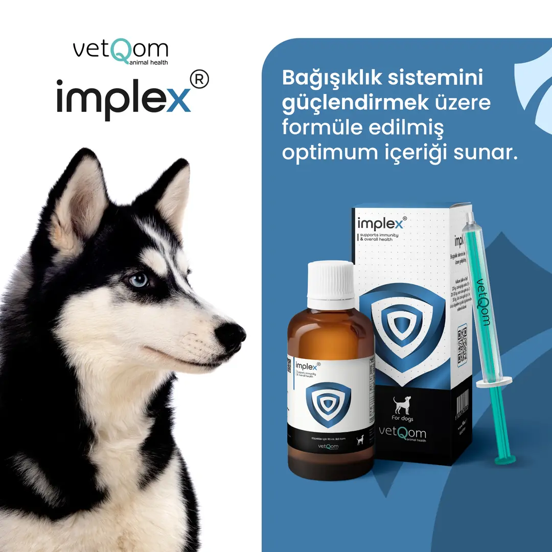 vetQom Implex Köpek – Immune Support – Bağışıklık Sistemi Desteği görsel 2